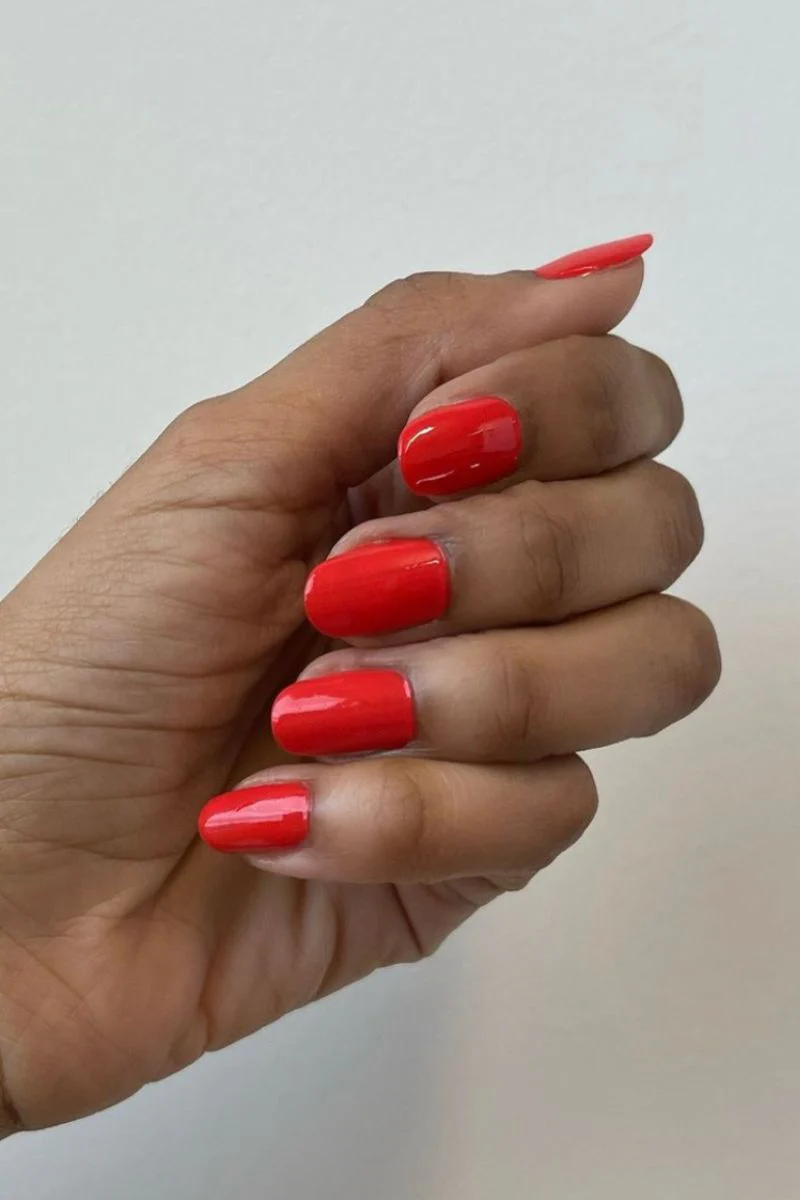 Miniaturebillede 4